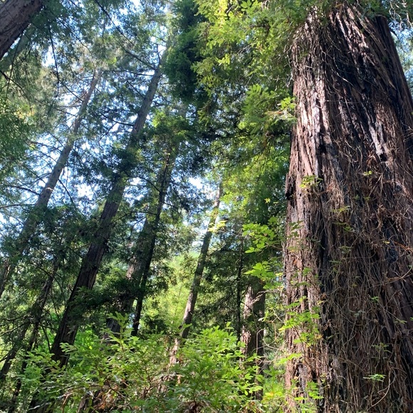 Meet your Posher, May - Picture 1 of 1